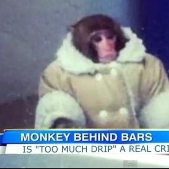 Meet your Posher, Alexander - Picture 1 of 1